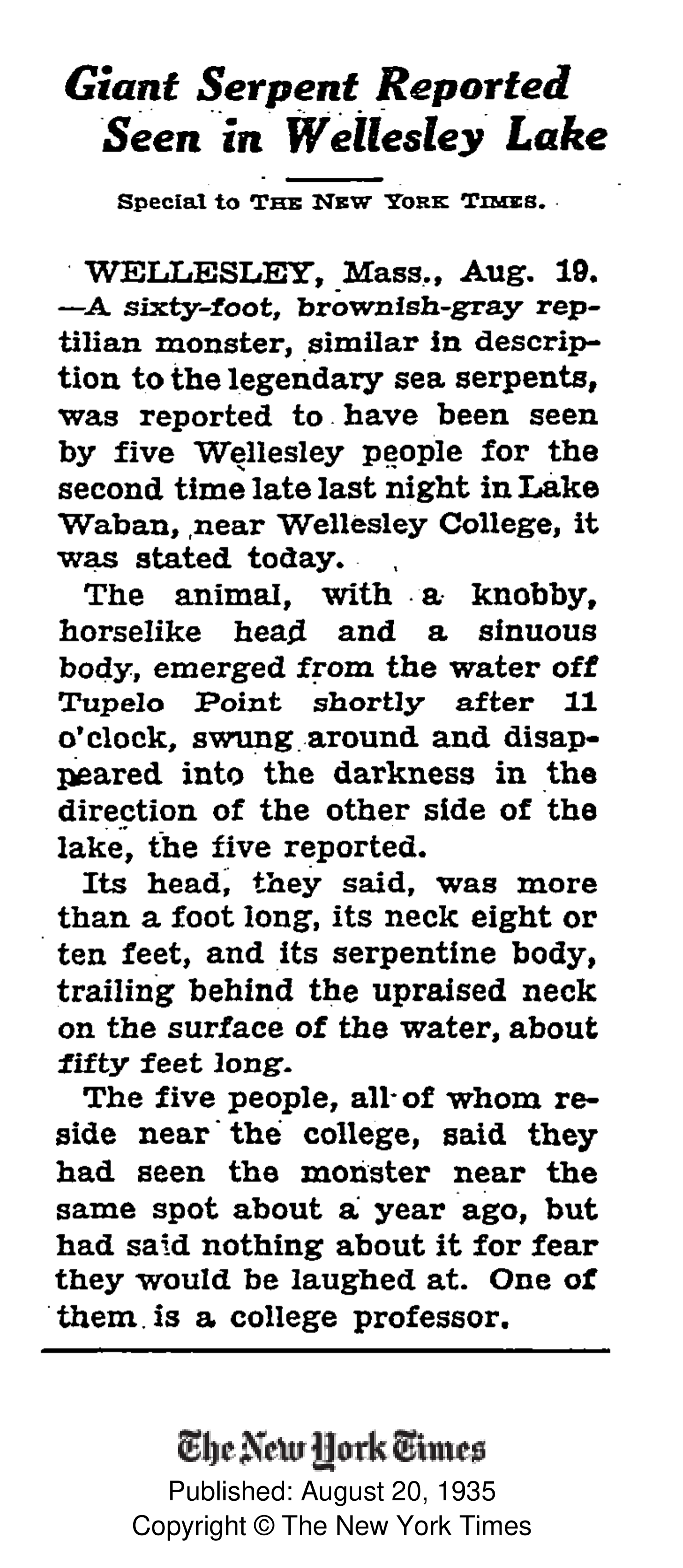 Wellesley Sea Serpent Wellesley Free Library