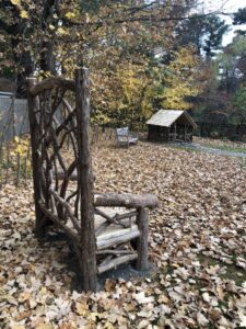 Chair and outdoor space at the Fells Branch