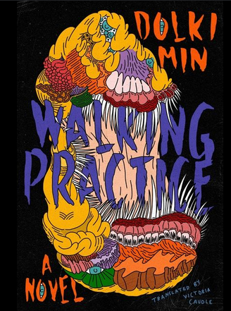 Cover for book "Walking Practice"